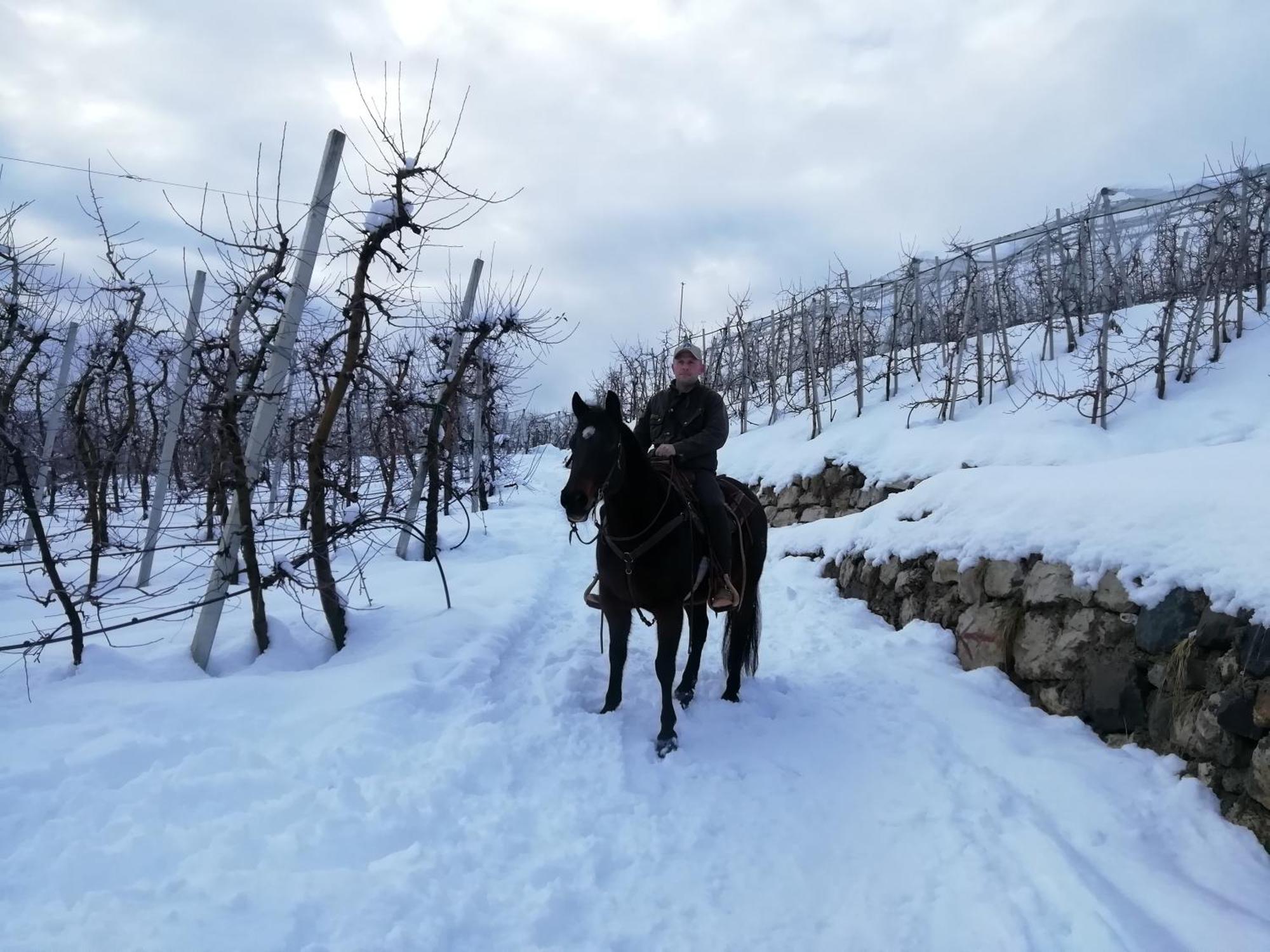 Horse House Bed and Breakfast Romallo Buitenkant foto