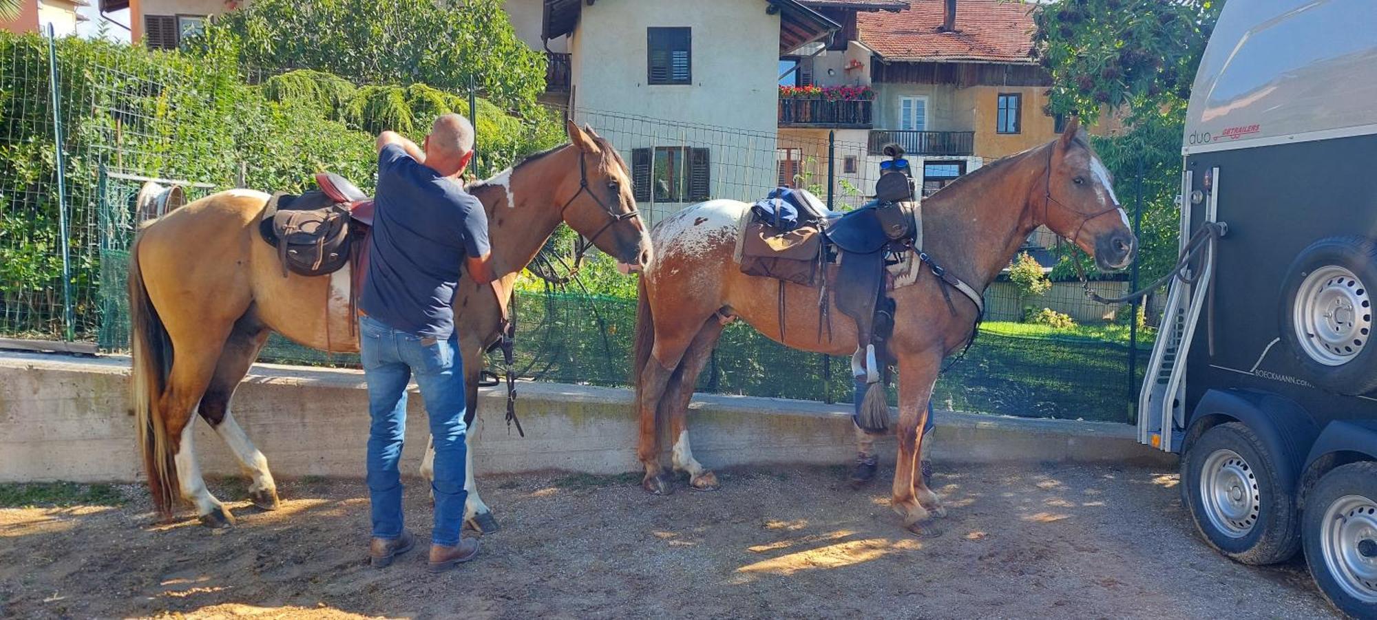 Horse House Bed and Breakfast Romallo Buitenkant foto